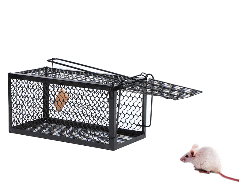 鼠笼捕鼠器1.gif