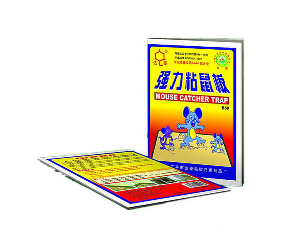专业灭鼠粘鼠板 (2).jpg